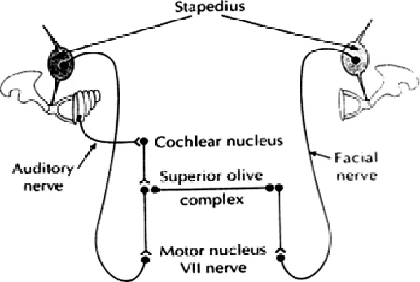 Reflex Audiometry